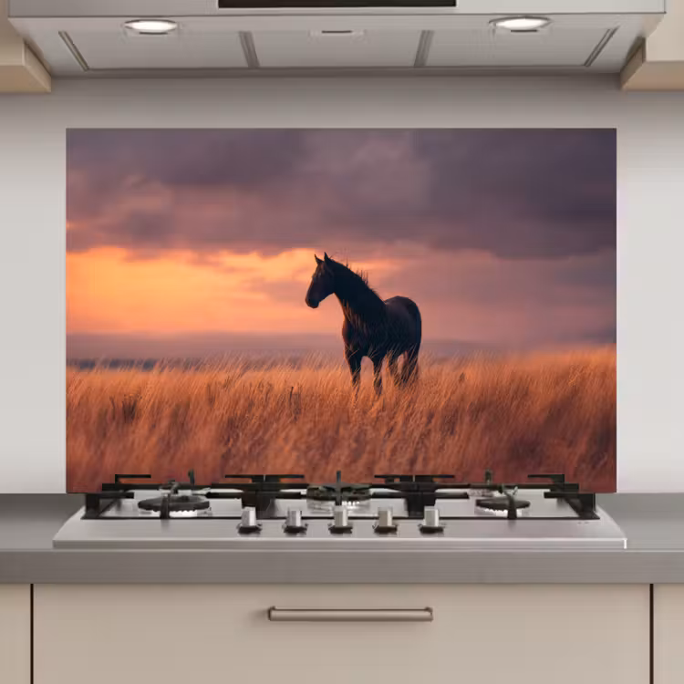 Spatscherm keuken - Paard - Wolken - Open veld — 1
