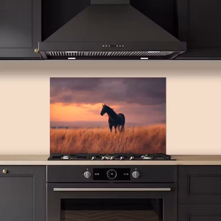Spatscherm keuken - Paard - Wolken - Open veld — 2