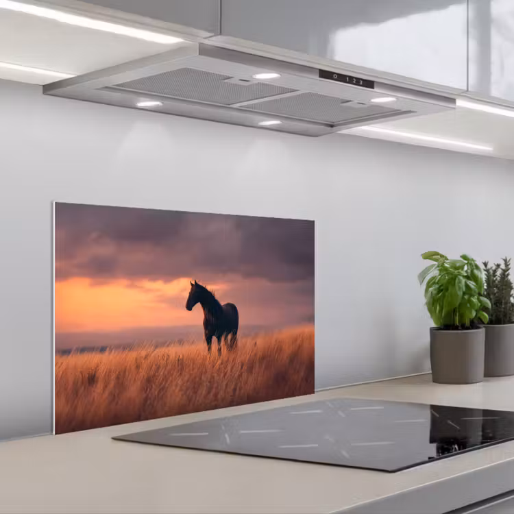 Spatscherm keuken - Paard - Wolken - Open veld — 5