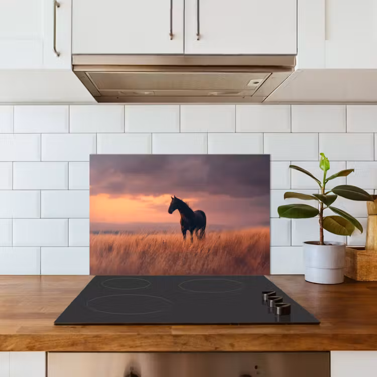 Spatscherm keuken - Paard - Wolken - Open veld — 6
