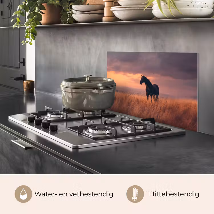 Spatscherm keuken - Paard - Wolken - Open veld — 7