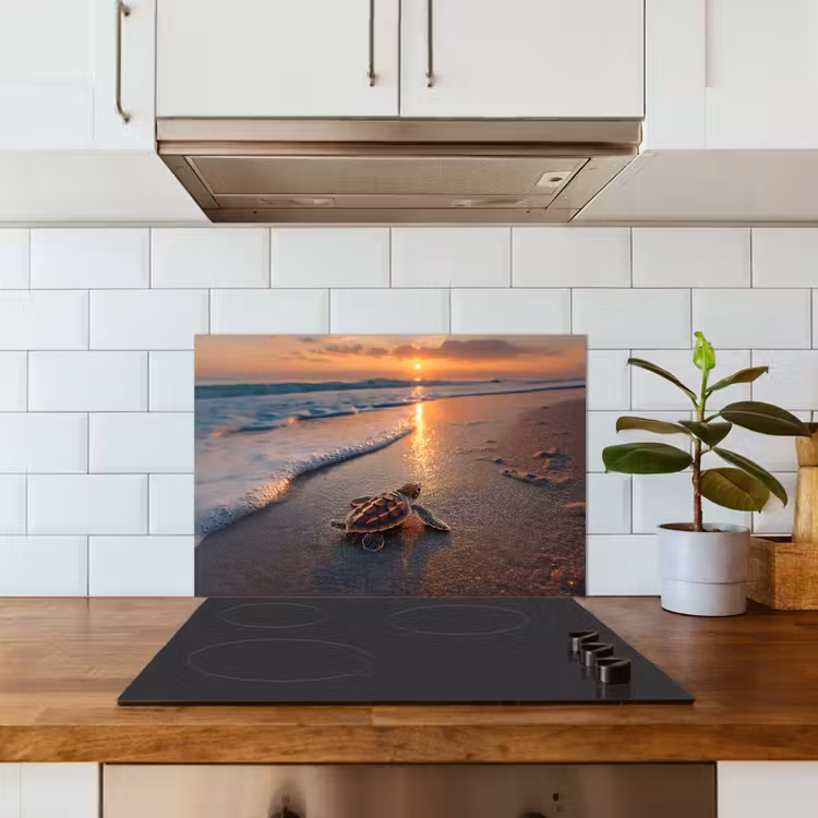 Spatscherm keuken - Schildpad - strand - Zonsondergang — 6