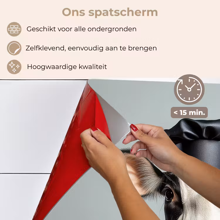 Spatscherm keuken - Koe - Zwart - Wit - Kok — 4