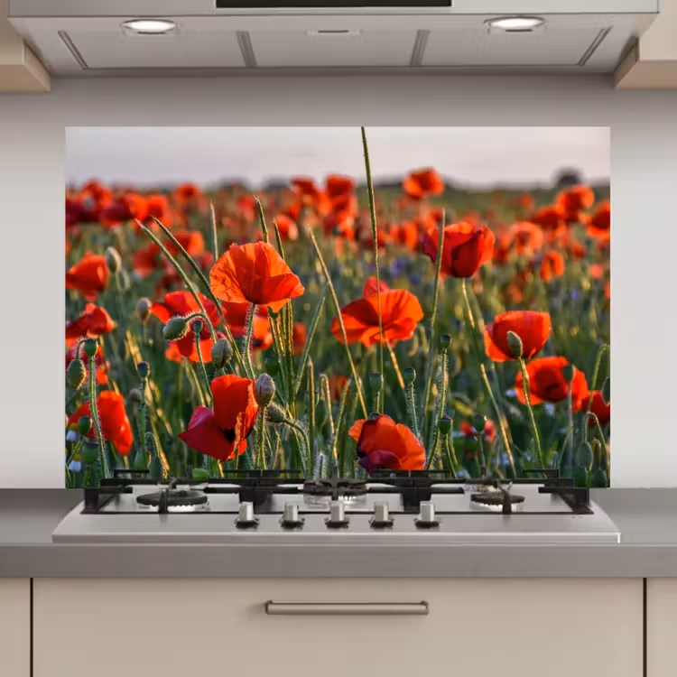 Spatscherm keuken - Bloemen - Klaprozen - Natuur - Rood — 1