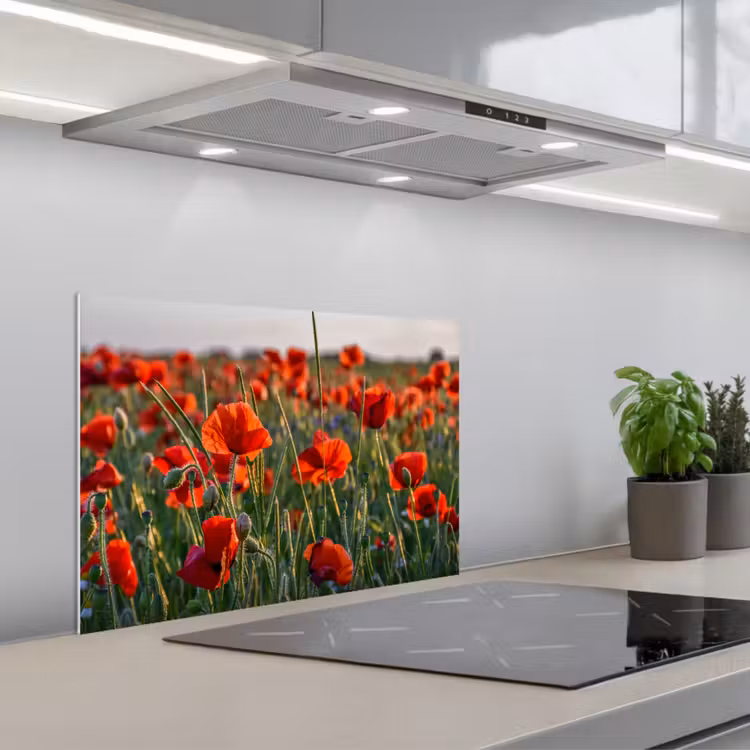 Spatscherm keuken - Bloemen - Klaprozen - Natuur - Rood — 5