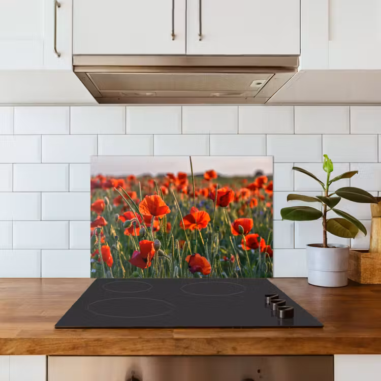Spatscherm keuken - Bloemen - Klaprozen - Natuur - Rood — 6