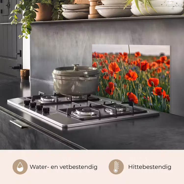 Spatscherm keuken - Bloemen - Klaprozen - Natuur - Rood — 7