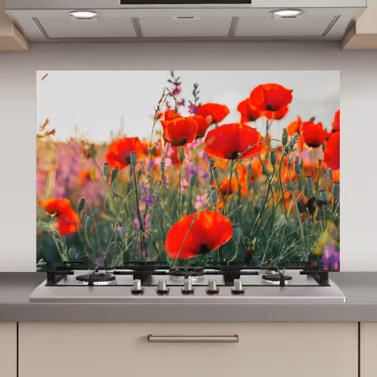 Spatscherm keuken - Klaproos - Bloemen - Rood - Paars - Weide — 1
