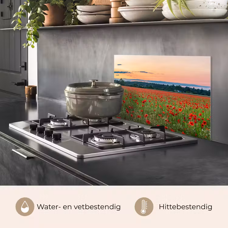 Spatscherm keuken - Klaprozen - Landschap - Rood - Bloemen — 7