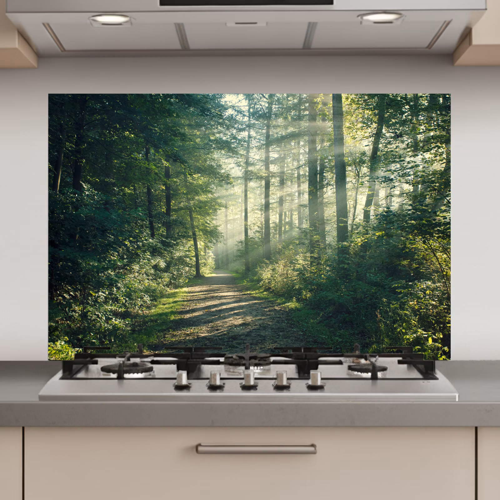 Spatscherm keuken - Bos - Pad - Zon - Bomen - Groen - Natuur — 1