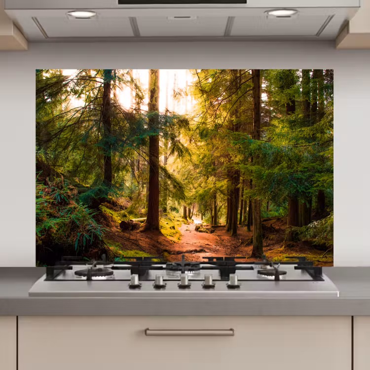 Spatscherm keuken - Bos - Pad - Bomen - Groen - Zon - Natuur — 1