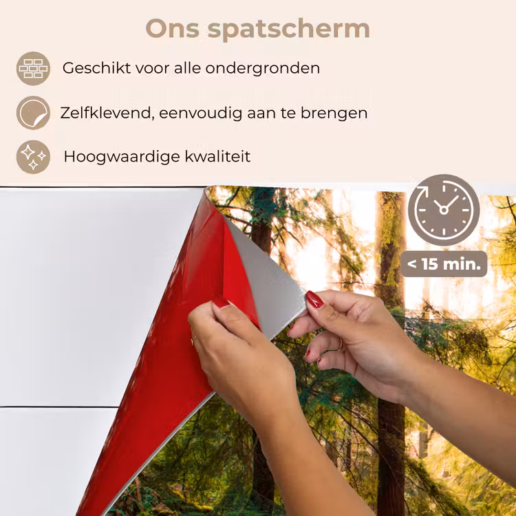 Spatscherm keuken - Bos - Pad - Bomen - Groen - Zon - Natuur — 4