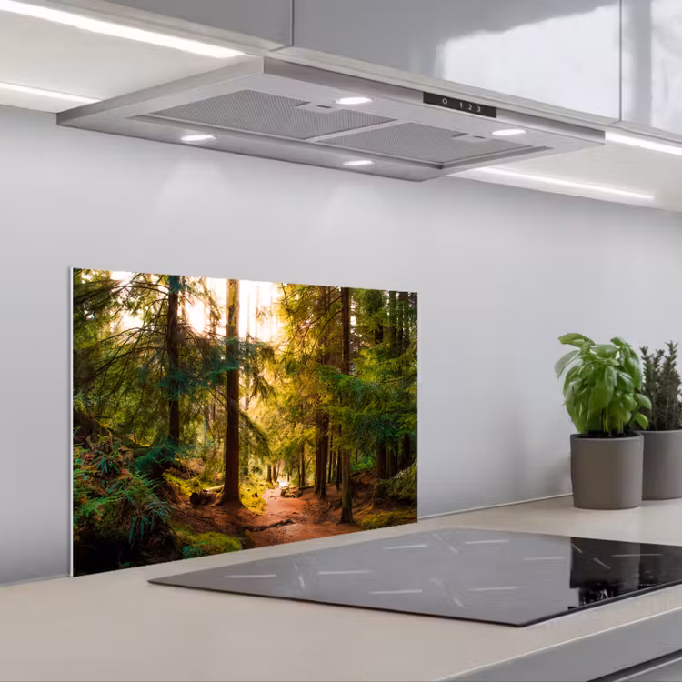 Spatscherm keuken - Bos - Pad - Bomen - Groen - Zon - Natuur — 5
