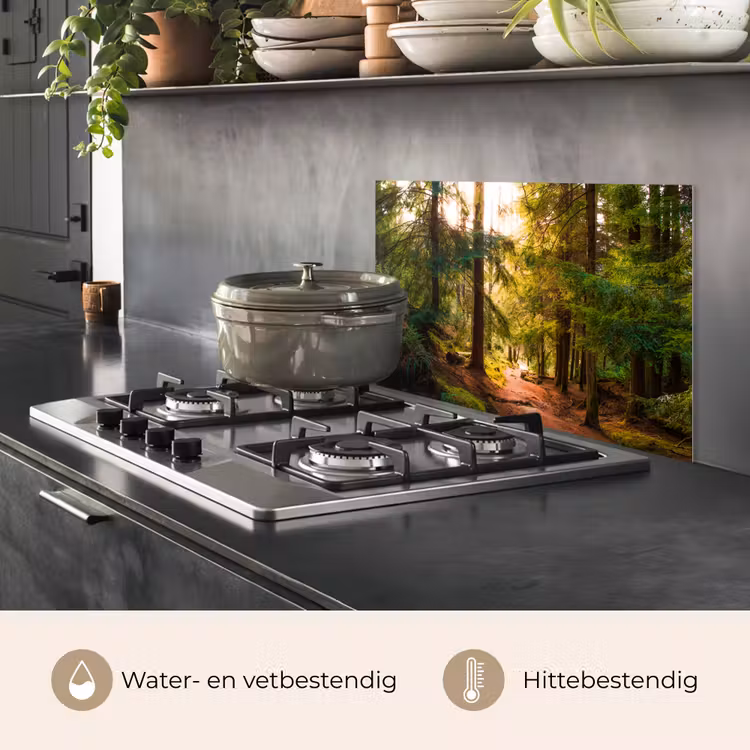 Spatscherm keuken - Bos - Pad - Bomen - Groen - Zon - Natuur — 7
