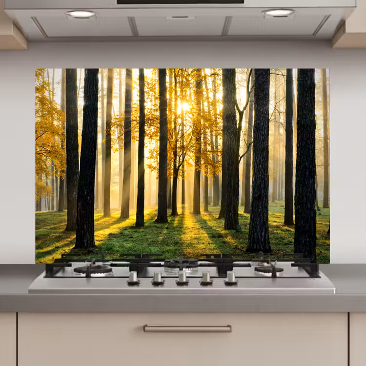 Spatscherm keuken - Bos - Zon - Bomen - Gras - Landschap - Natuur — 1
