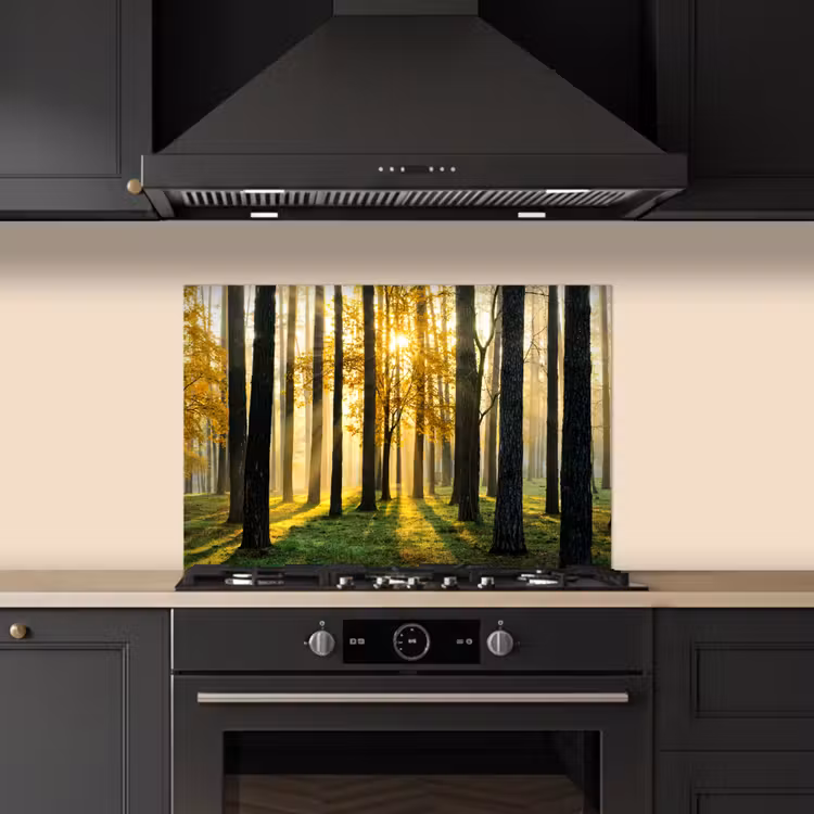 Spatscherm keuken - Bos - Zon - Bomen - Gras - Landschap - Natuur — 2