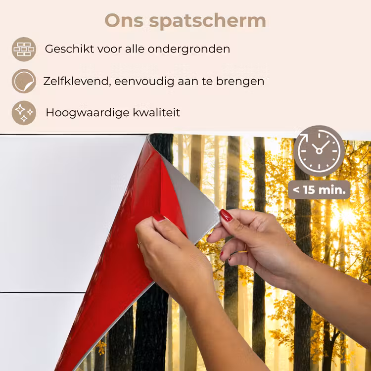 Spatscherm keuken - Bos - Zon - Bomen - Gras - Landschap - Natuur — 4