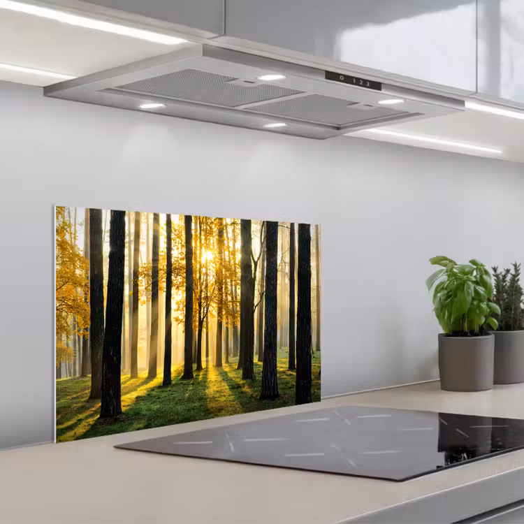 Spatscherm keuken - Bos - Zon - Bomen - Gras - Landschap - Natuur — 5