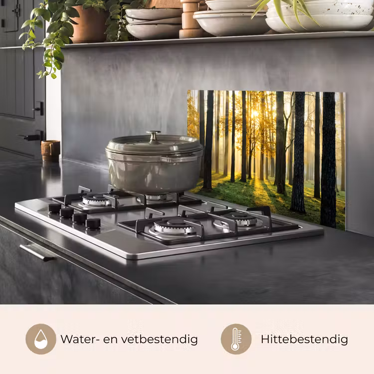 Spatscherm keuken - Bos - Zon - Bomen - Gras - Landschap - Natuur — 7