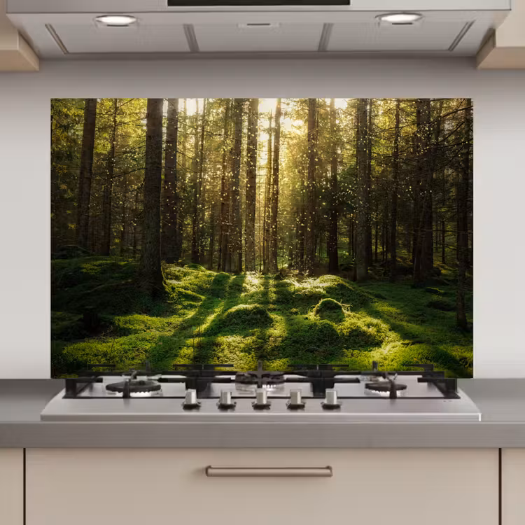 Spatscherm keuken - Bomen - Bos - Mos - Planten - Zon - Natuur — 1