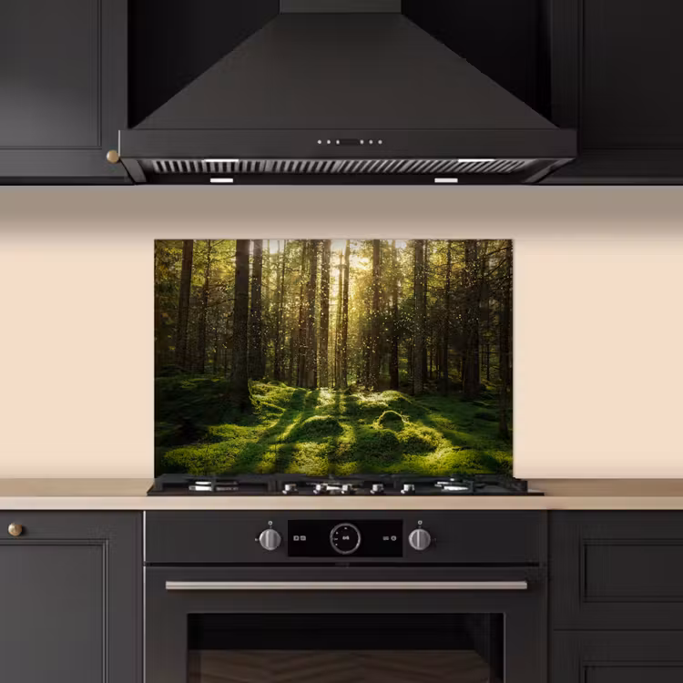 Spatscherm keuken - Bomen - Bos - Mos - Planten - Zon - Natuur — 2