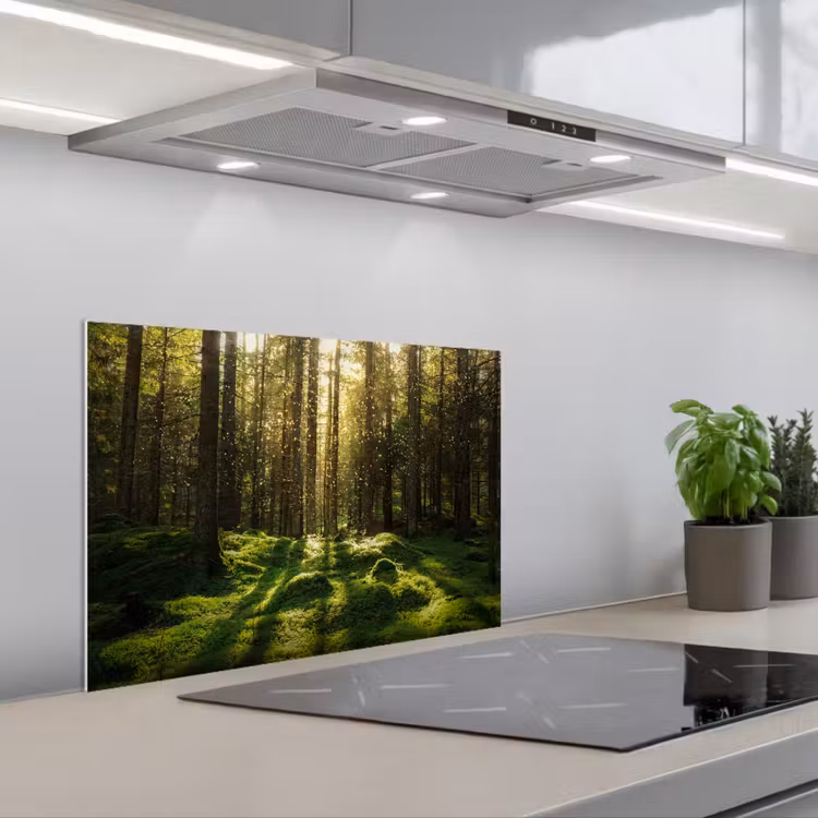 Spatscherm keuken - Bomen - Bos - Mos - Planten - Zon - Natuur — 5