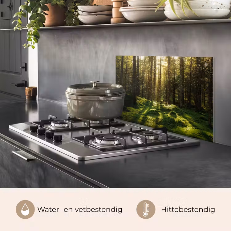 Spatscherm keuken - Bomen - Bos - Mos - Planten - Zon - Natuur — 7