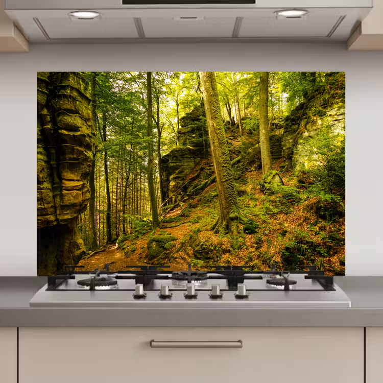 Spatscherm keuken - Bomen - Steen - Bos - Natuur - Planten — 1