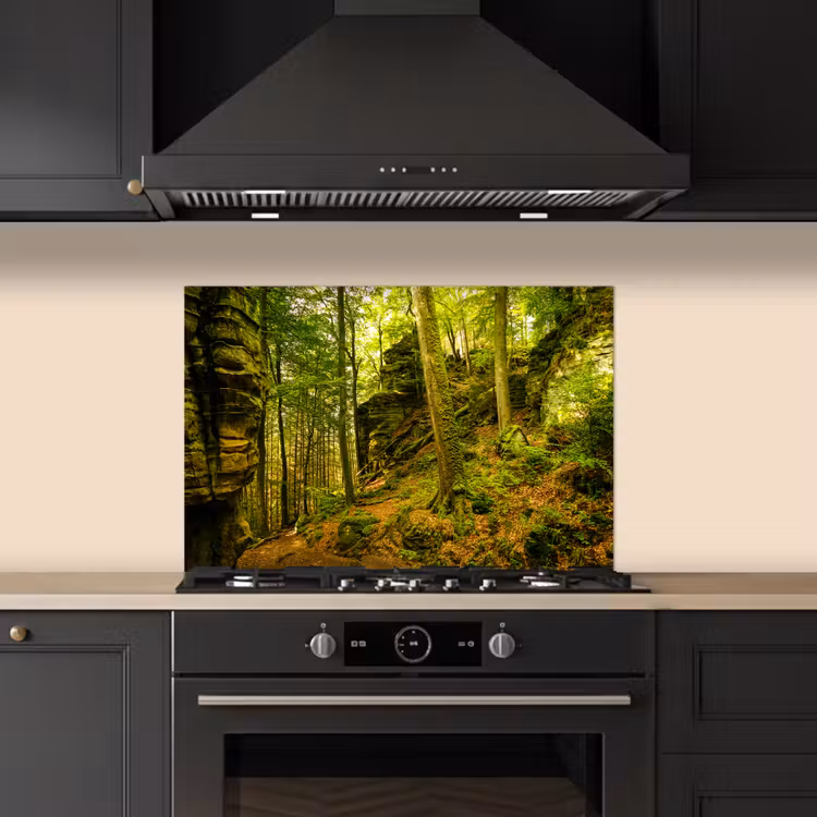 Spatscherm keuken - Bomen - Steen - Bos - Natuur - Planten — 2