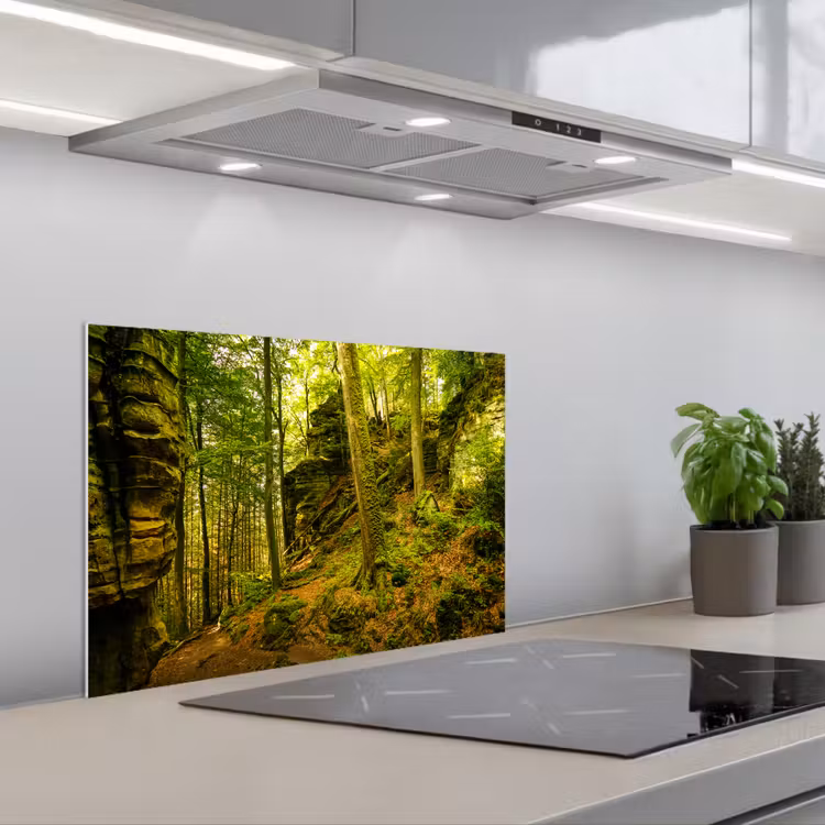 Spatscherm keuken - Bomen - Steen - Bos - Natuur - Planten — 5
