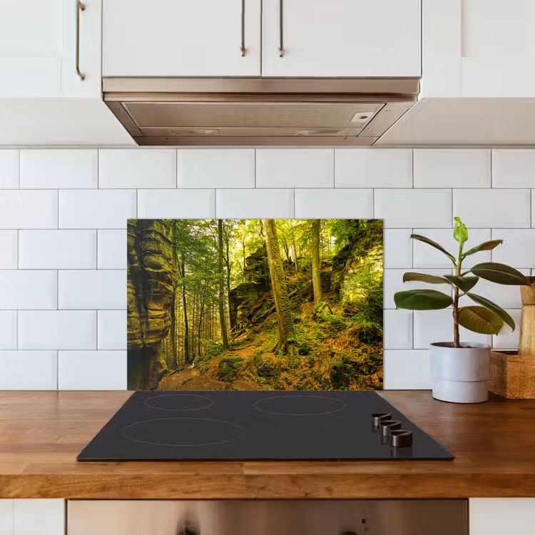 Spatscherm keuken - Bomen - Steen - Bos - Natuur - Planten — 6