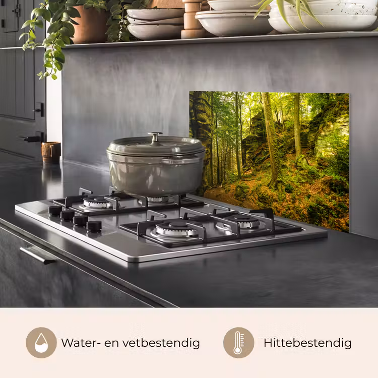 Spatscherm keuken - Bomen - Steen - Bos - Natuur - Planten — 7