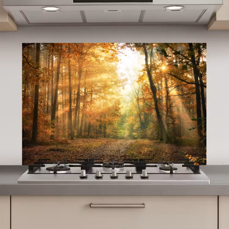 Spatscherm keuken - Bos - Herfst - Zon - Landschap - Natuur - Bomen - Bladeren — 1