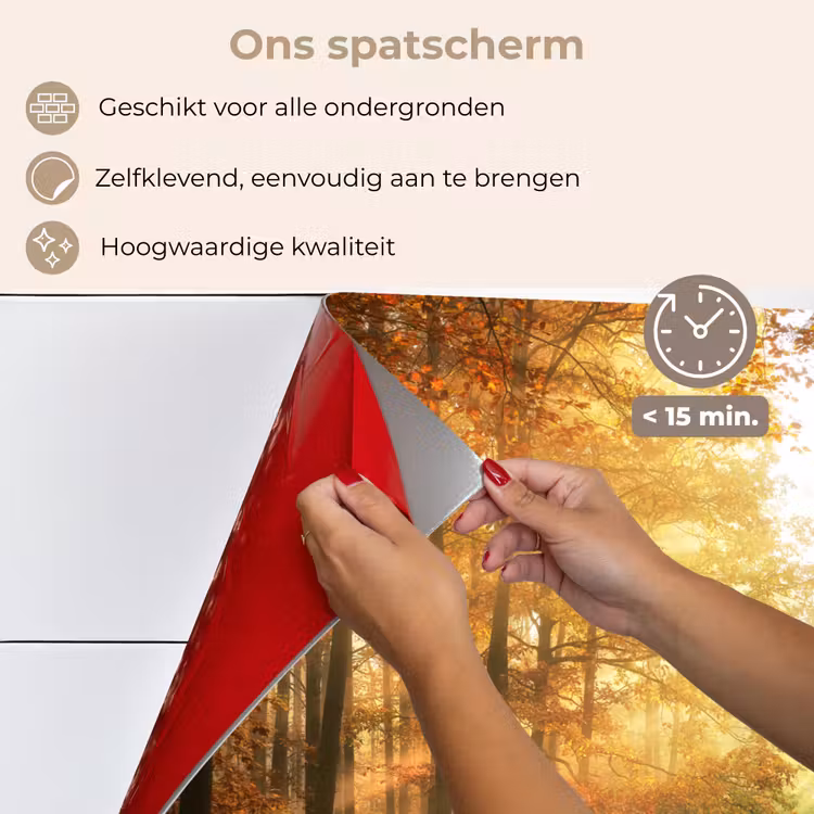 Spatscherm keuken - Bos - Herfst - Zon - Landschap - Natuur - Bomen - Bladeren — 4