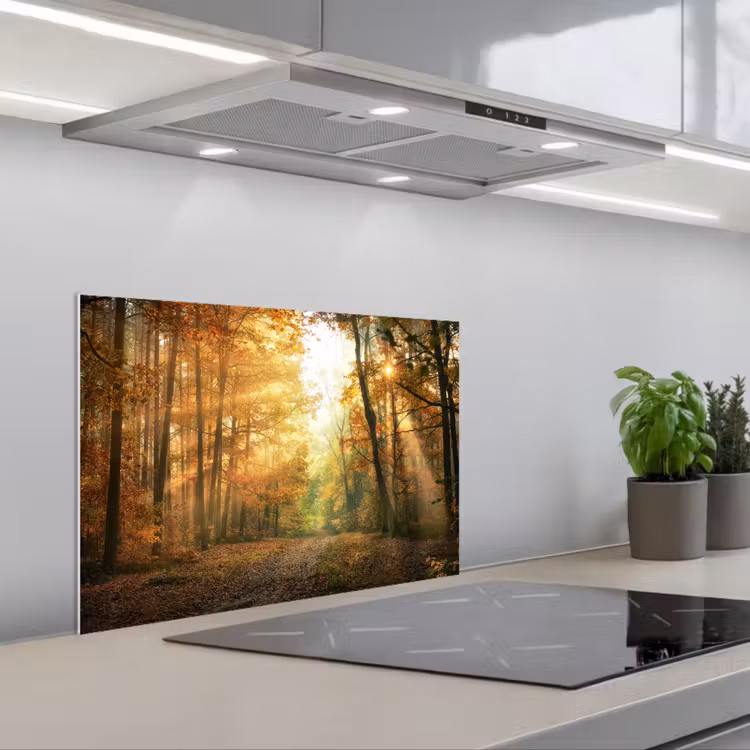 Spatscherm keuken - Bos - Herfst - Zon - Landschap - Natuur - Bomen - Bladeren — 5