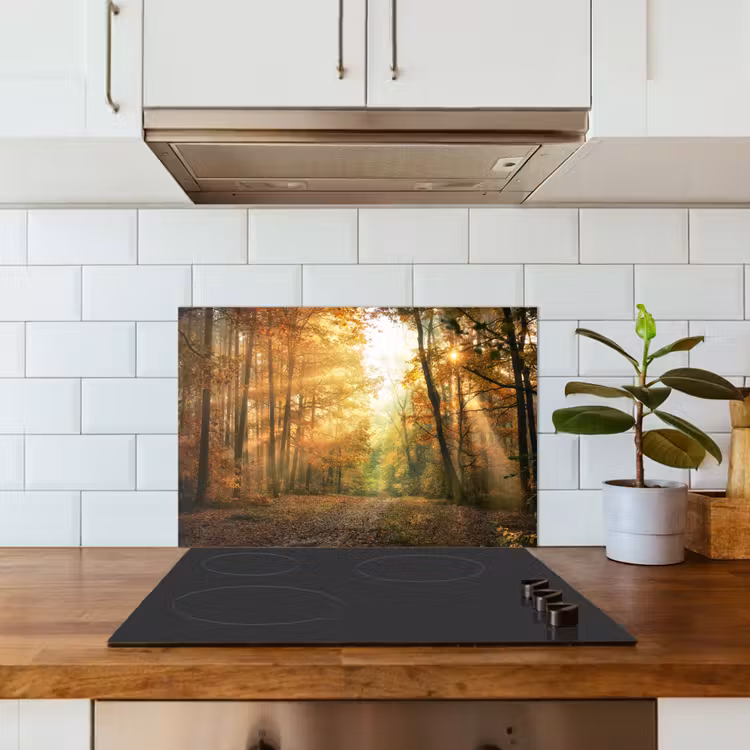Spatscherm keuken - Bos - Herfst - Zon - Landschap - Natuur - Bomen - Bladeren — 6