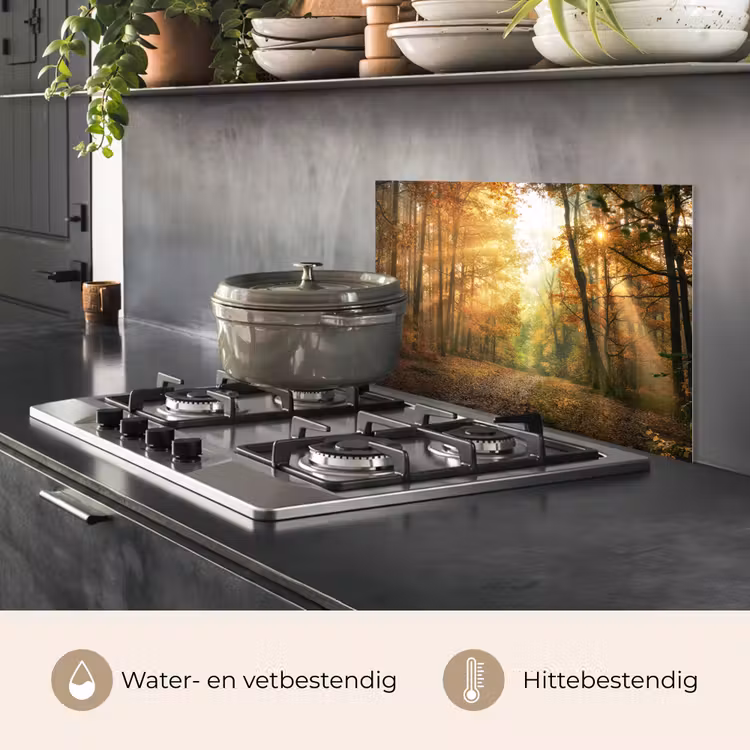 Spatscherm keuken - Bos - Herfst - Zon - Landschap - Natuur - Bomen - Bladeren — 7