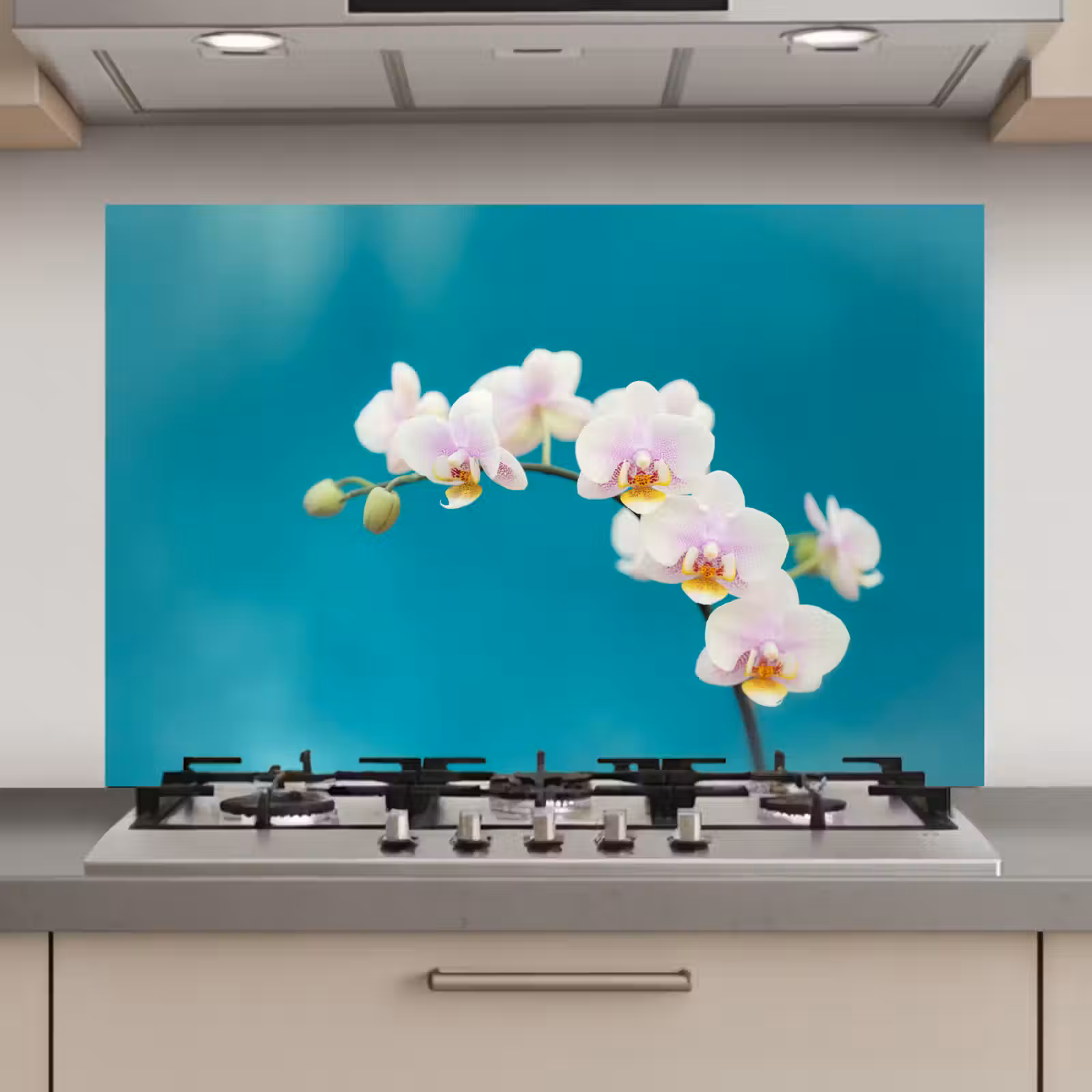 Spatscherm keuken - Orchidee - Bloemen - Plant - Wit - Paars — 1