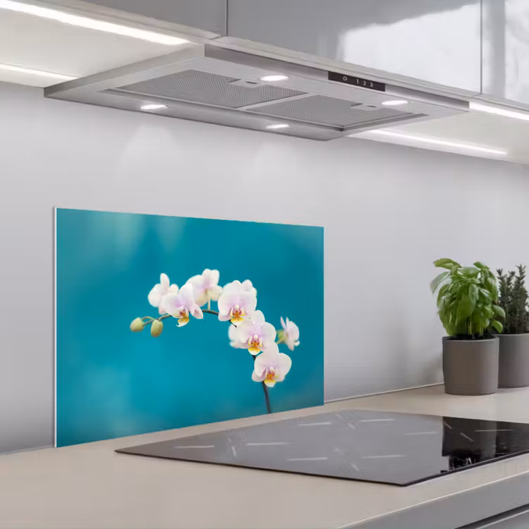 Spatscherm keuken - Orchidee - Bloemen - Plant - Wit - Paars — 5