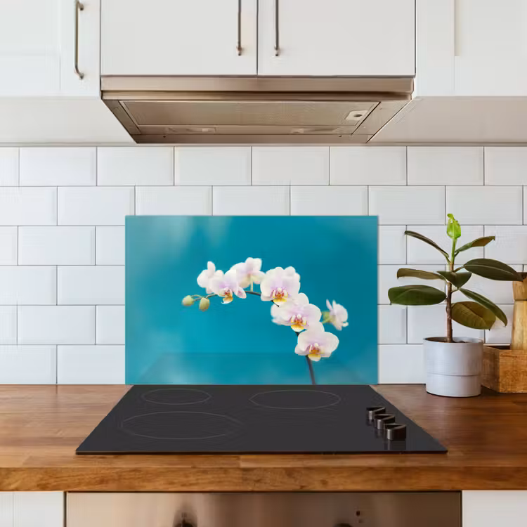 Spatscherm keuken - Orchidee - Bloemen - Plant - Wit - Paars — 6