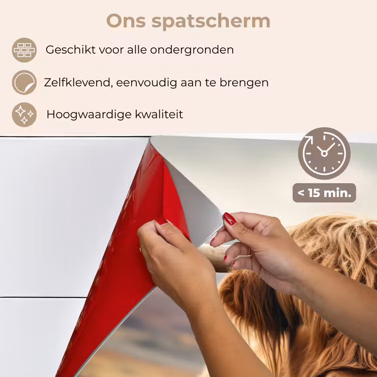 Spatscherm keuken - Schotse hooglander - Landschap - Dier — 4
