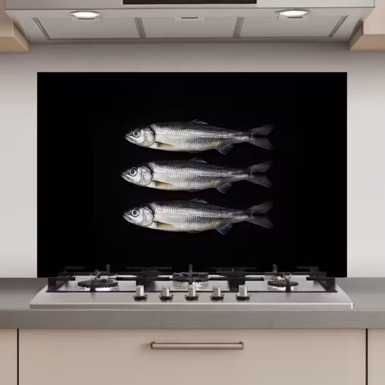 Spatscherm keuken - Haring - Vissen - Zwart — 1
