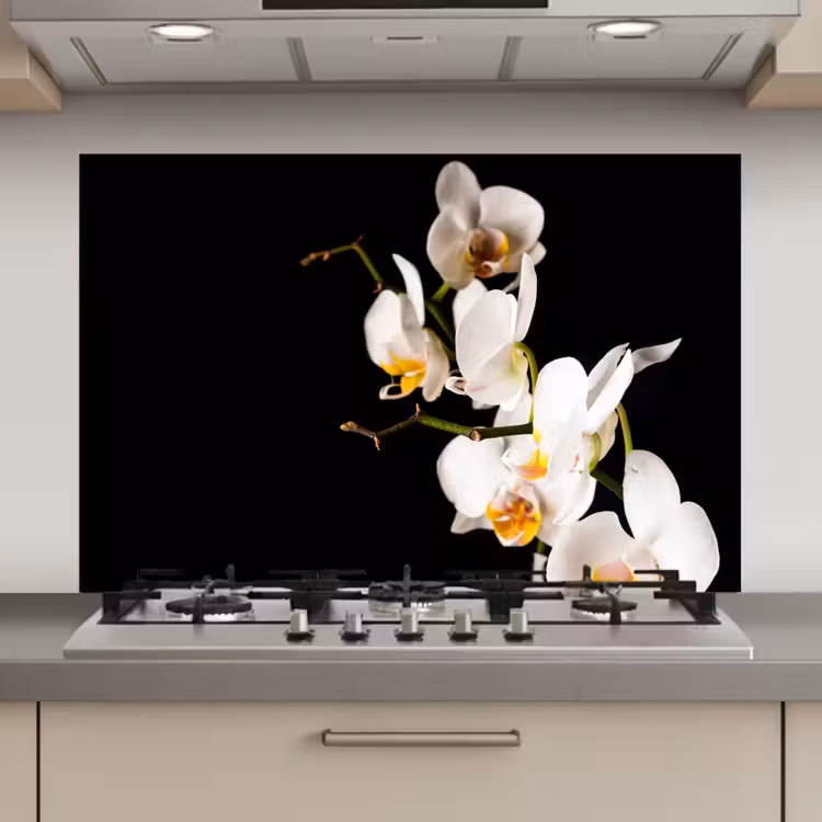 Spatscherm keuken - Orchidee - Bloemen - Planten - Botanisch — 1
