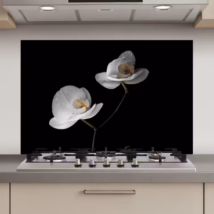 Spatscherm keuken - Orchidee - Bloemen - Zwart - Wit - Stilleven — 1