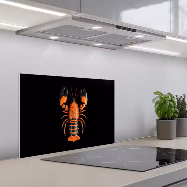 Spatscherm keuken - Kreeft - Oranje - Zwart - Modern — 5