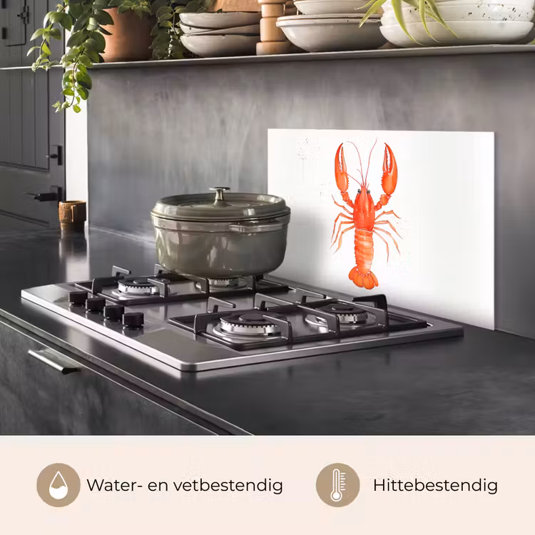 Spatscherm keuken - Kreeft - Waterverf - Aquarel - Oranje — 7