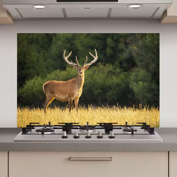 Spatscherm keuken - Hert - Gewei - Gras - Natuur - Dieren - Groen — 1