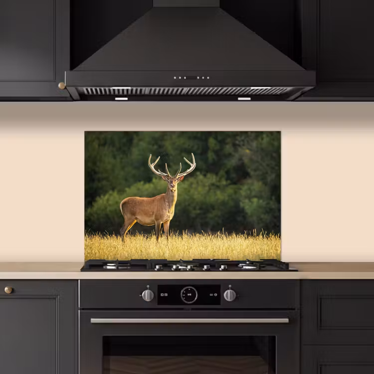 Spatscherm keuken - Hert - Gewei - Gras - Natuur - Dieren - Groen — 2