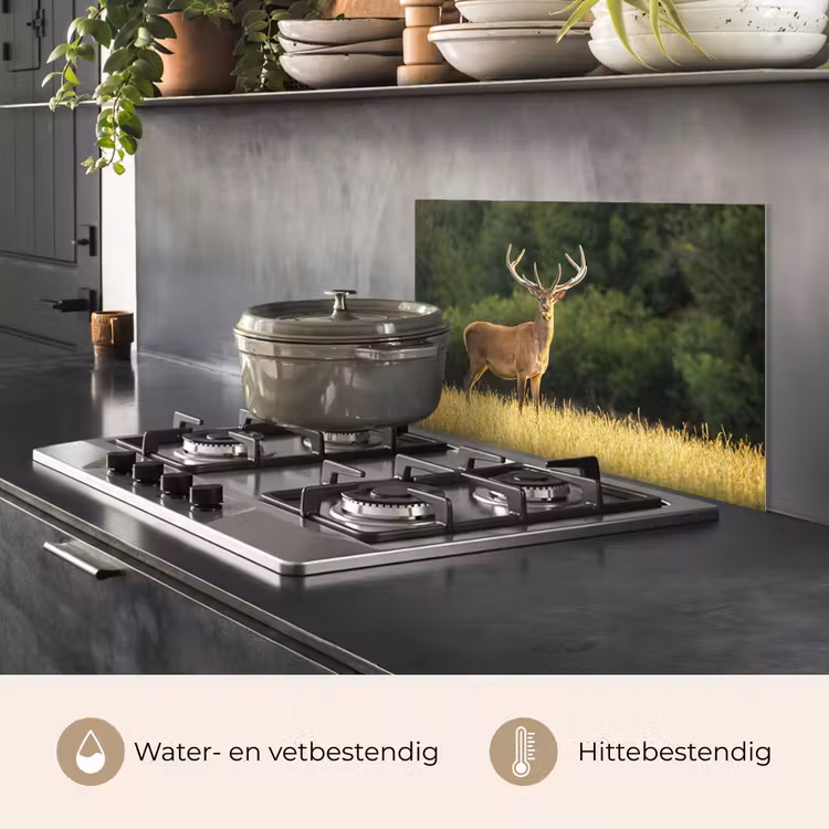Spatscherm keuken - Hert - Gewei - Gras - Natuur - Dieren - Groen — 7
