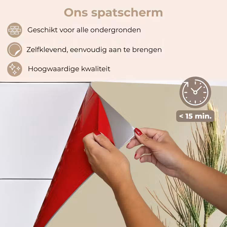 Spatscherm keuken - Dennentak - Naaldvormige bladeren - Lichtgroen — 4